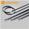 SS Cable Tie